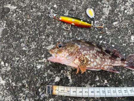 ジャックアイマキマキでボトムを『攻める』