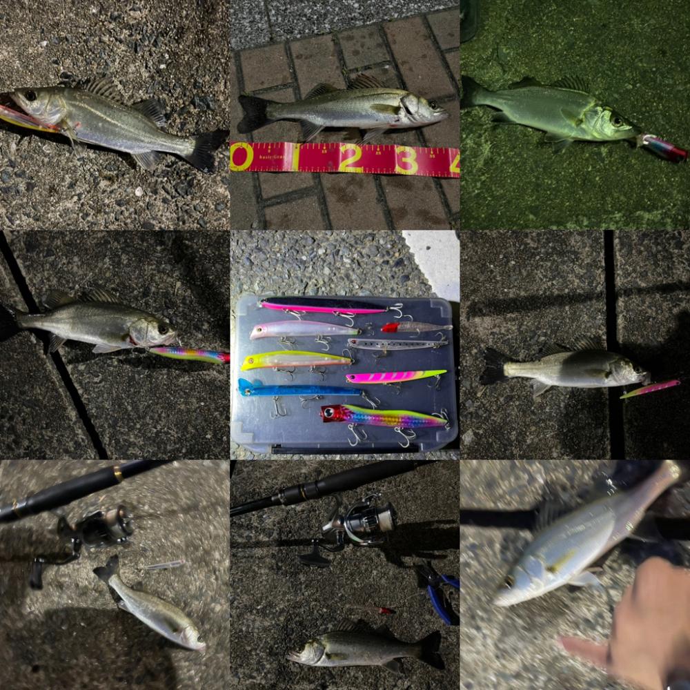 マイクベイトパターンからのバチ抜け