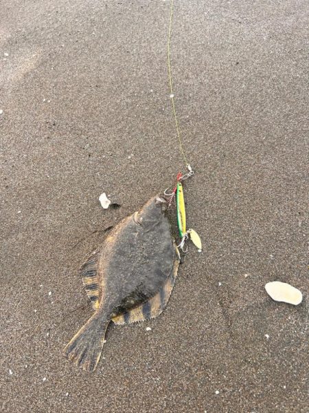 ショアジギング