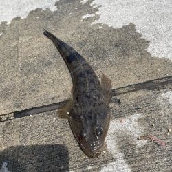 キスはまだ早かったかな？