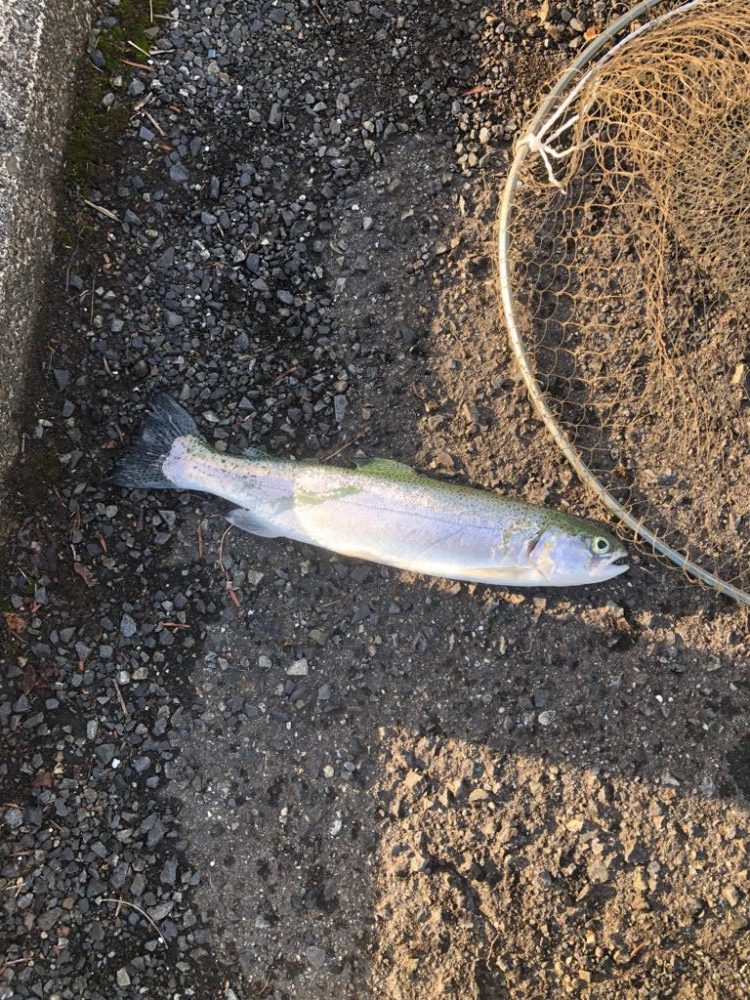 そろそろ終わりかな