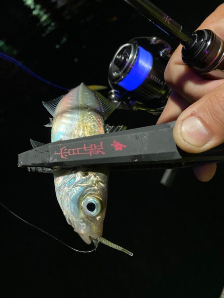 宵姫AJカスタムのバランスの良さ