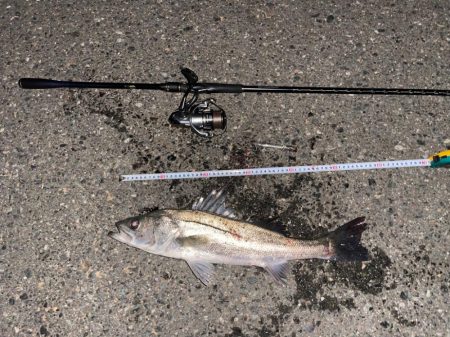 初橋脚下明暗ドリフト