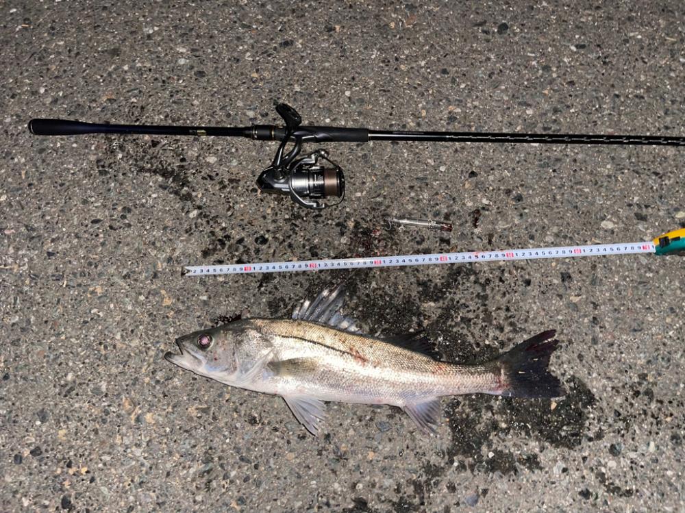 初橋脚下明暗ドリフト