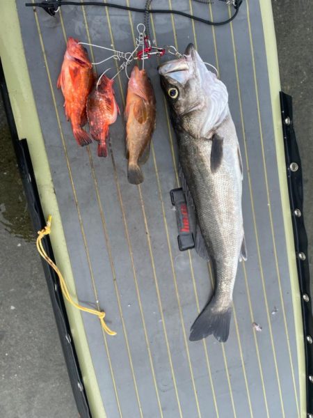 初のランカーシーバス