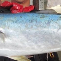 人生初青物…とデカフグ