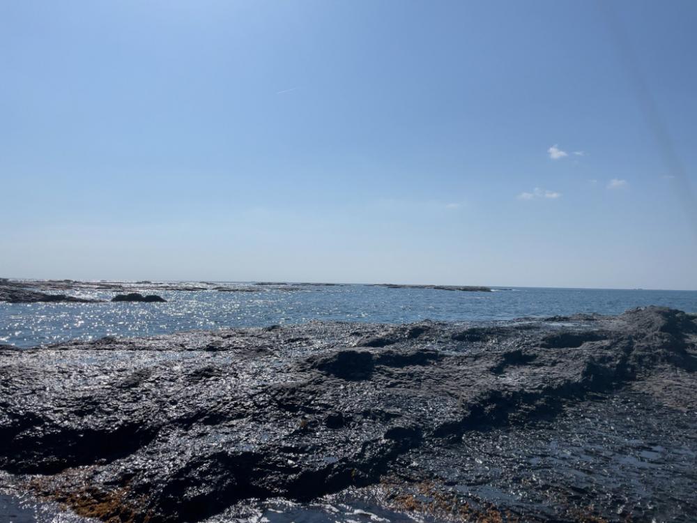 とりあえず一杯