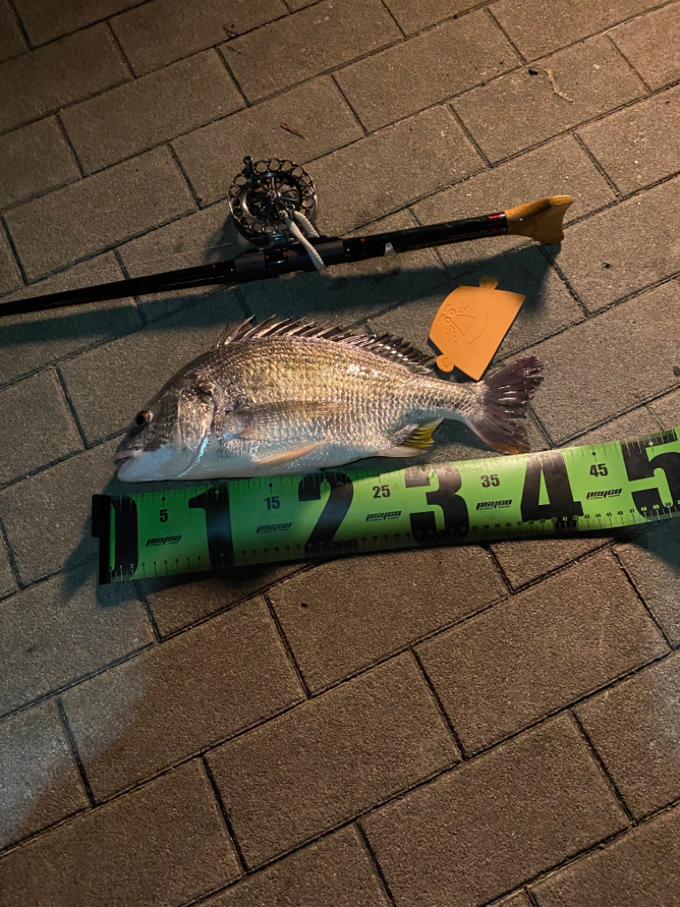 ヘチってきました