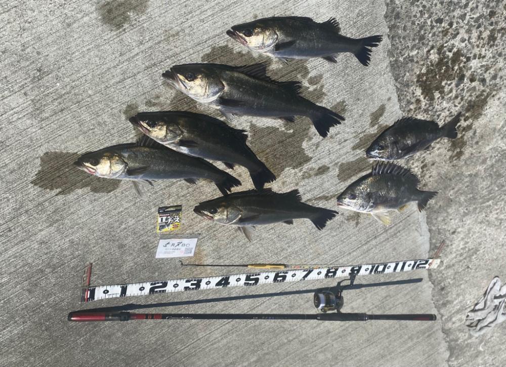 魚が浮いてもタモに入るまで　DAY2