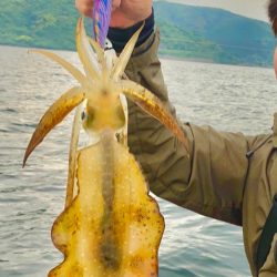 初めてののイカ釣り