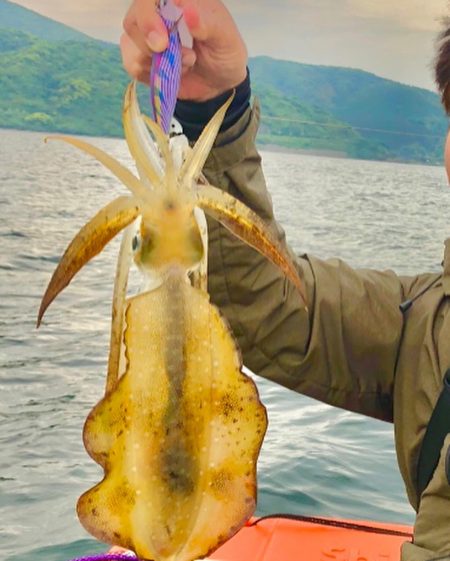 初めてののイカ釣り