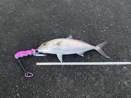 スナップを破壊する強烈な引きの正体は？