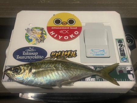 初ボートアジング