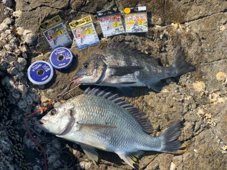 上潮ダダ滑りを攻略‼︎