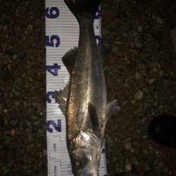 前に釣った魚と再会！？