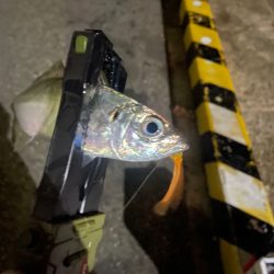 雨が降ったら終了