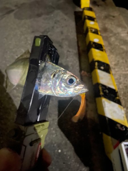 雨が降ったら終了