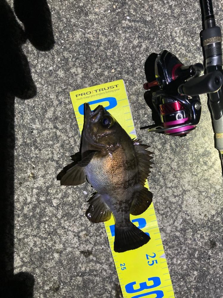 ジグ単ドリフト