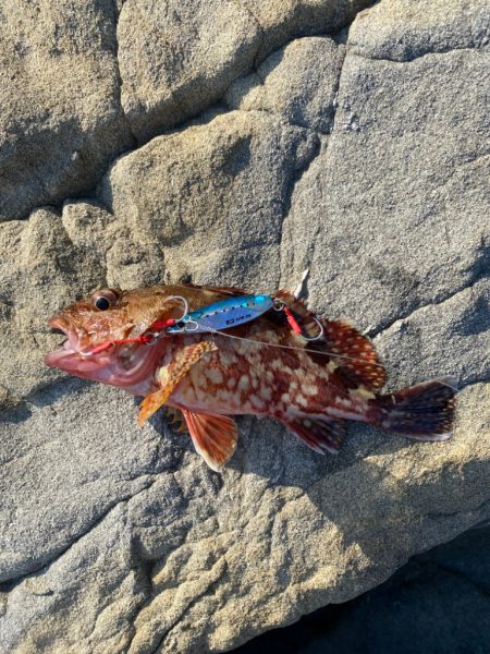 ジグパラスロー