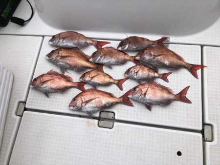 明石タイラバ！