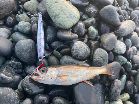 マイクロスリムジグ