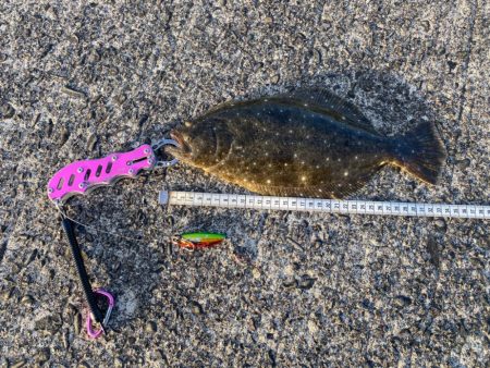 今度はヒラメ！ジャックアイグロッキーが止ま…