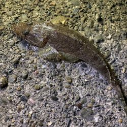 子供の楽園でした