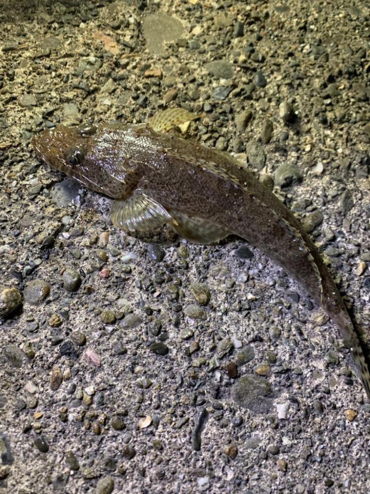 子供の楽園でした