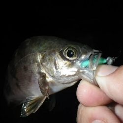 ハッピーアイランドIN淡路島