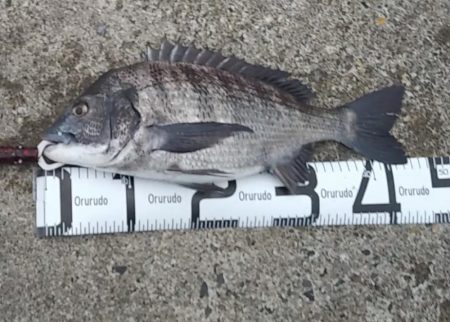 朝マズメのサーフゲーム