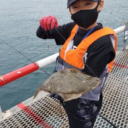 マコカレイ３６センチ釣れました！