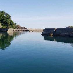 アジを探しに日本海遠征2アジング