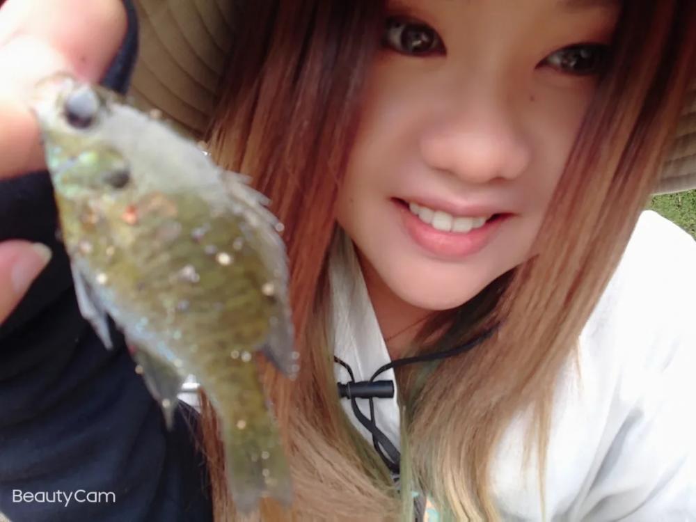 ブルーギル９匹