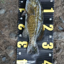 久々のスモール