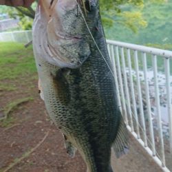 パワーフィネスでプリメス