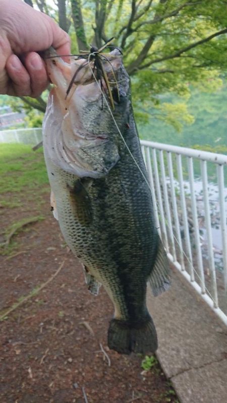 パワーフィネスでプリメス