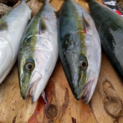 ショアプラッキング