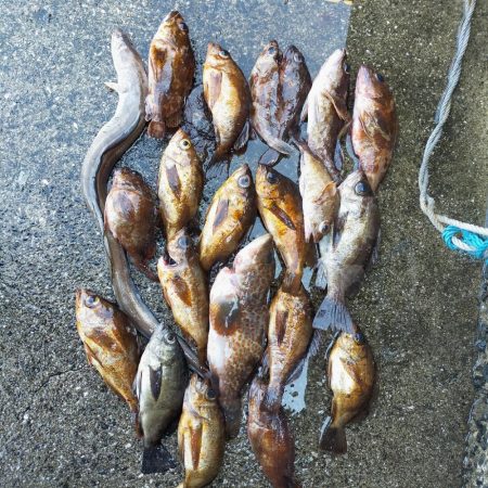 岩屋一文字で通し釣り