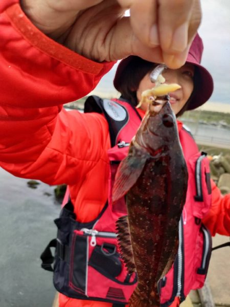 ちょい投げジグヘッドでクジメが大当たり