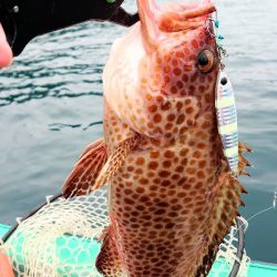 レンタルボート