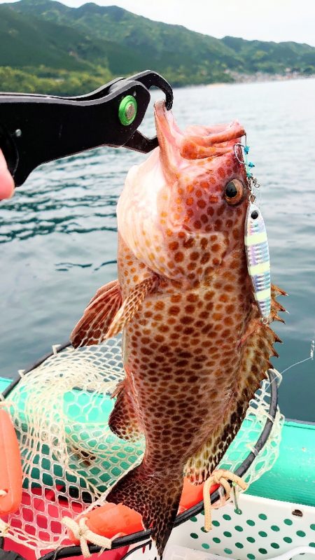 レンタルボート