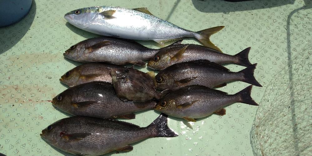 伝馬船での釣り