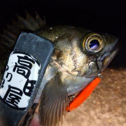 今夜はオレンジ