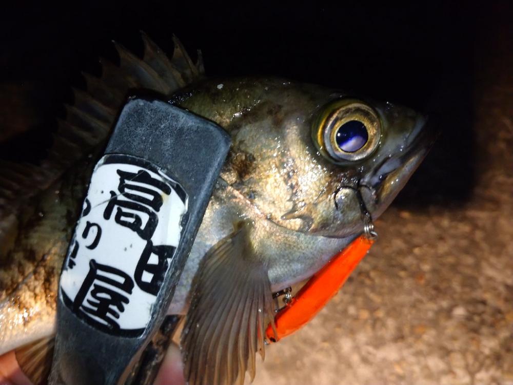 今夜はオレンジ