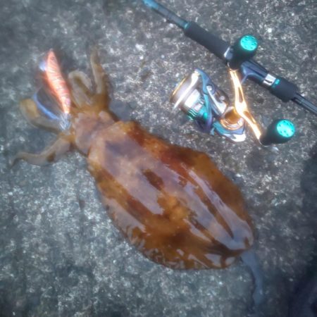 朝マヅメのワンチャン