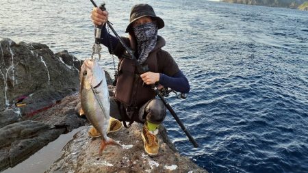 rockyshoreモンスターと出会い