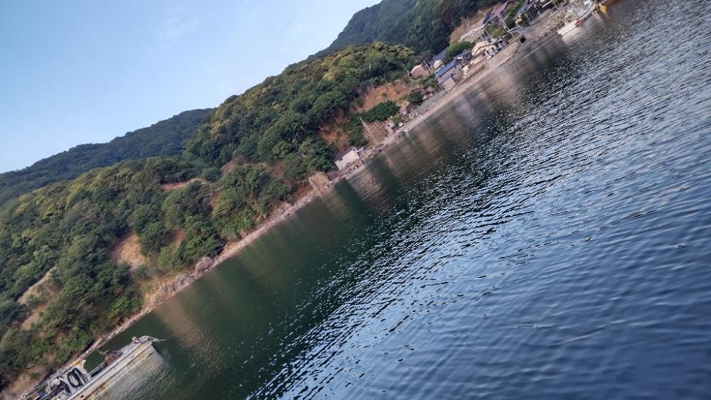 アジを探しに日本海遠征