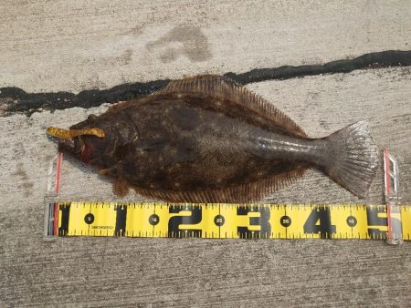 実家に帰省ついでの釣行。