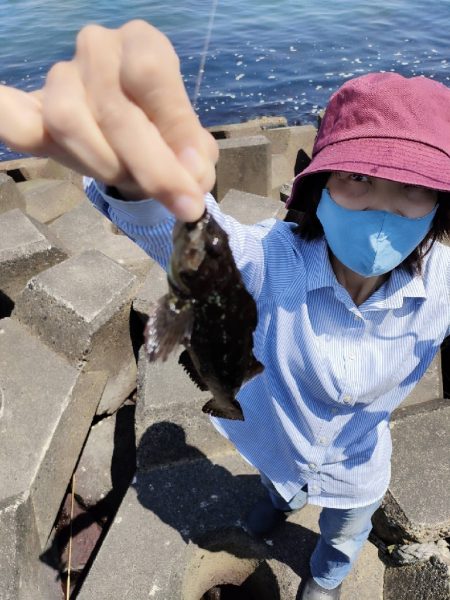 穴釣りがやめられない、とまらない