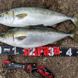 ショアプラッキング